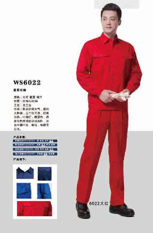 WS6022